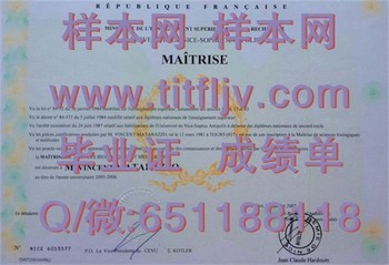 解密尼斯-索菲亚安蒂波利斯大学毕业证：掌握就业竞争利器