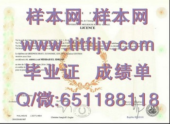 上阿尔萨斯大学毕业证攻略：职场新起点