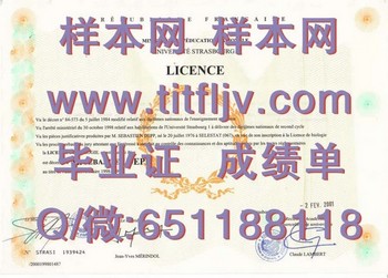 斯特拉斯堡大学毕业证攻略：突破求职瓶颈