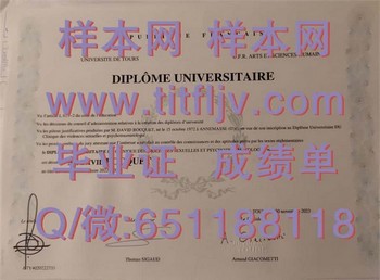 法国图尔大学毕业证攻略：职业发展之道	 95