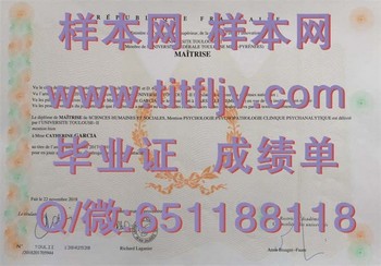 聚焦图卢兹第二大学毕业证：职场竞争锦囊