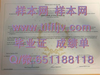 揭秘图卢兹国立综合理工学院毕业证：就业攻略全解析