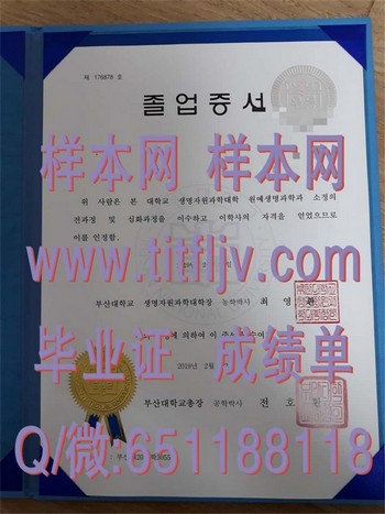 韩国釜山大学毕业证电子版如何申请？步骤详解