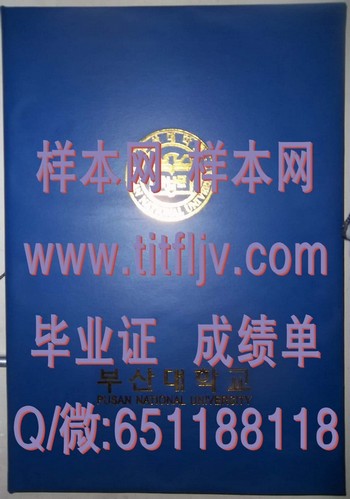 开启职业之门：韩国釜山大学毕业证的人才吸引力