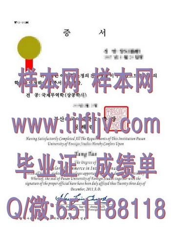 解读韩国釜山外国语大学毕业证背后的求职密码