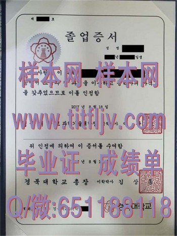 韩国庆北大学校友风采：他们的成功故事