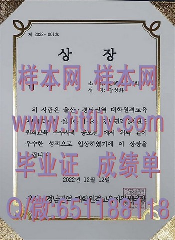 韩国庆尚南道蔚山大学校园生活指南：融入韩国文化的最佳途径