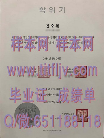 深度解读韩国首尔大学文凭：探索学历对个人发展的影响