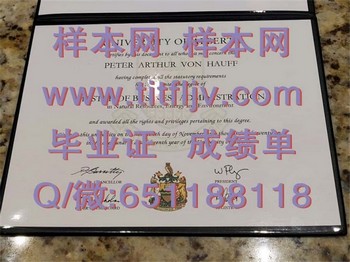 奠定职业基石：加拿大阿尔伯塔大学文凭的专业课程和实践机会