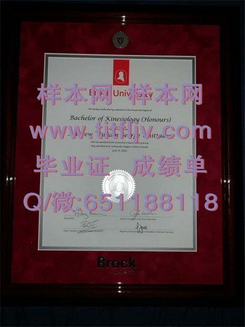 加拿大布鲁克大学毕业证：扬帆职场的起跑线