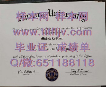 极光学院毕业证模版、文凭参考、学位证、成绩单图片.jpg