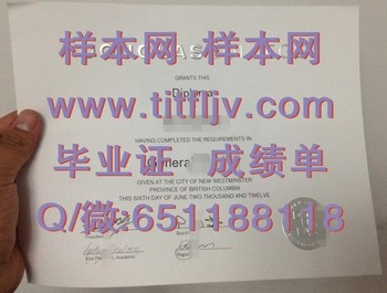 加拿大道格拉斯学院毕业证模版、文凭参考、学位证、成绩单图片.jpg