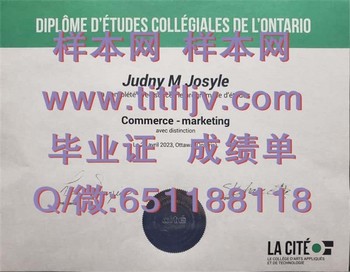 拉塞特学院毕业证模版、文凭参考、学位证、成绩单图片.jpg