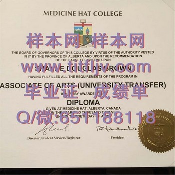 梅迪辛哈特学院毕业证模版、文凭参考、学位证、成绩单图片.jpg