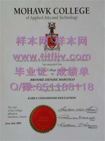 迈向成功之门：莫霍克应用艺术及技术学院文凭的奇妙之处