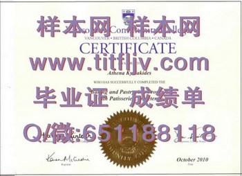 温哥华社区学院 (2)毕业证模版、文凭参考、学位证、成绩单图片.jpg