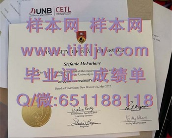 新布伦瑞克大学毕业证模版、文凭参考、学位证、成绩单图片.jpg