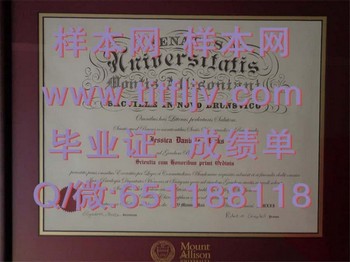 雅礼逊山大学毕业证模版、文凭参考、学位证、成绩单图片.jpg