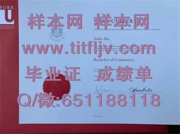 约克大学毕业证模版、文凭参考、学位证、成绩单图片.jpg
