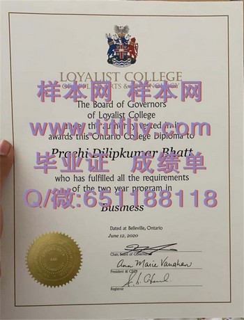 解锁职场奇迹！忠诚应用艺术及技术学院文凭引领行业潮流