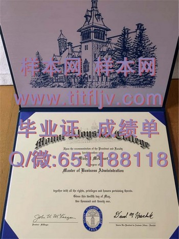 阿洛伊修斯山学院毕业证模版、文凭参考、学位证、成绩单图片.jpg