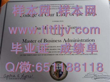埃尔姆斯圣母学院(奇科皮)College of Our Lady of the Elms (Chicopee)毕业证模版、文凭参考、学位证、成绩单图片.jpg