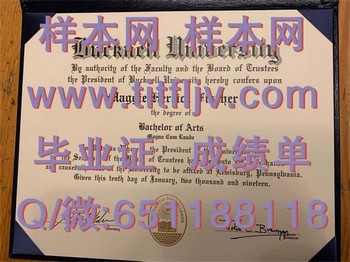巴克内尔大学毕业证模版、文凭参考、学位证、成绩单图片.jpg