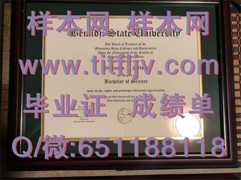 伯米吉州立大学（伯米吉）Bemidji State University (Bemidji)毕业证模版、文凭参考、学位证、成绩单图片.jpg