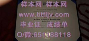 布莱恩斯特拉顿学院(布法罗)Bryant & Stratton College (Buffalo)毕业证模版、文凭参考、学位证、成绩单图片.jpg
