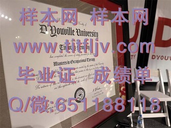 迪由维尔学院(布法罗)D`Youville College (Buffalo)毕业证模版、文凭参考、学位证、成绩单图片.jpg