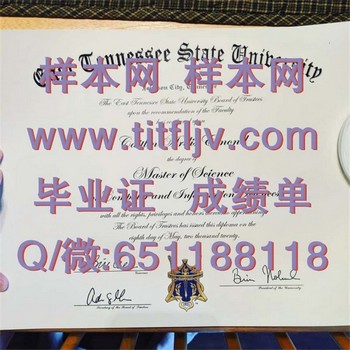 东田纳西州立大学毕业证模版、文凭参考、学位证、成绩单图片.jpg