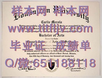 多米尼克大学(里弗福里斯特)Dominican University (River Forest)毕业证模版、文凭参考、学位证、成绩单图片.jpg