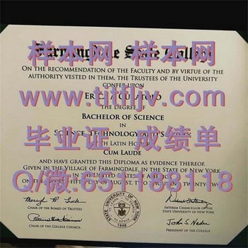 法明代尔州立学院毕业证模版、文凭参考、学位证、成绩单图片.jpg