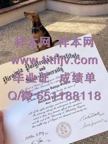 弗吉尼亚理工学院毕业证模版、文凭参考、学位证、成绩单图片.jpg