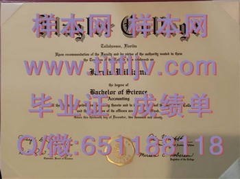 弗莱格勒学院(圣奥古斯丁)Flagler College (St. Augustine)毕业证模版、文凭参考、学位证、成绩单图片.jpg