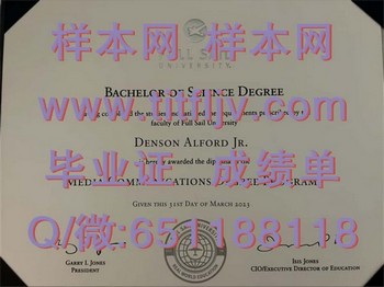 富赛大学（冬园）Full Sail University (Winter Park)毕业证模版、文凭参考、学位证、成绩单图片.jpg