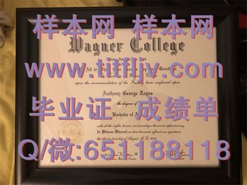 格纳学院(斯塔滕岛)Wagner College (Staten Island)毕业证模版、文凭参考、学位证、成绩单图片.jpg