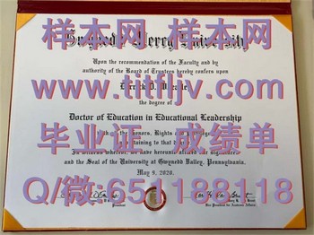 格温内思默希学院（格温内思谷）Gwynedd-Mercy College (Gwynedd Valley)毕业证模版、文凭参考、学位证、成绩单图片.jpg