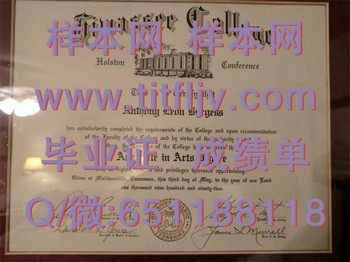 海沃西学院(麦迪逊维尔)Hiwassee College (Madisonville)毕业证模版、文凭参考、学位证、成绩单图片.jpg