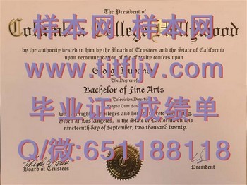 好莱坞哥伦比亚学院(泰赞纳)Columbia College Hollywood (Tarzana)毕业证模版、文凭参考、学位证、成绩单图片.jpg