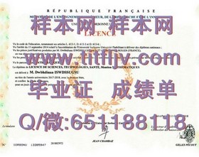 《荷兰伊拉斯姆斯大学认证毕业证：揭秘全球认可的学术通行证》