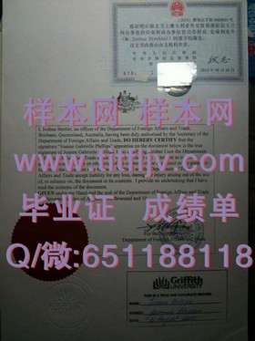 《波恩大学毕业证背后的故事：揭秘德国精英教育成果》