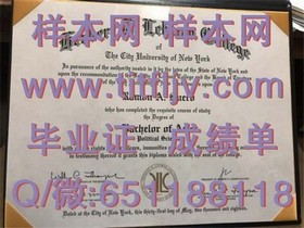 《乔治亚大学文凭解析：获取名校毕业证的奥秘与价值》