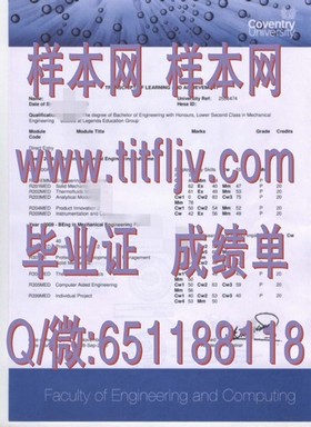 《荷兰伊拉斯姆斯大学：权威认证，国际认可的毕业证解析与优势揭秘》