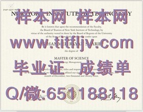 《荷兰伊拉斯姆斯大学：揭秘真实毕业证含金量与求职优势》