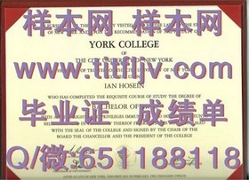《乔治亚大学毕业证背后的含金量：揭秘名校认证的全球认可度》