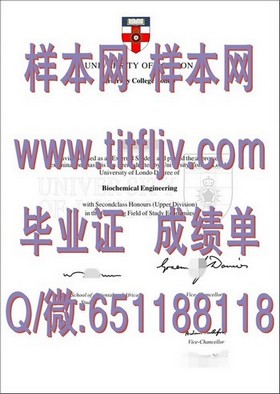 《揭秘滋贺大学实力认证：毕业证含金量解析与求职优势》