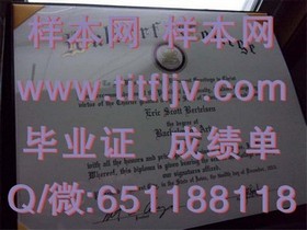 《荷兰伊拉斯姆斯大学学历证书详解：国际认可的精英教育凭证》