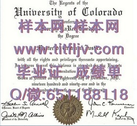 《荷兰伊拉斯姆斯大学文凭解析：全球认可，求职利器揭秘》