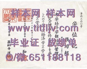 《荷兰伊拉斯姆斯大学学位证书解析：国际认可与求职优势一览》